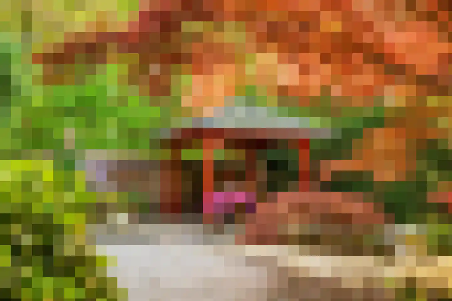 Groene Woud 6 Oudenbosch thumbnail 26