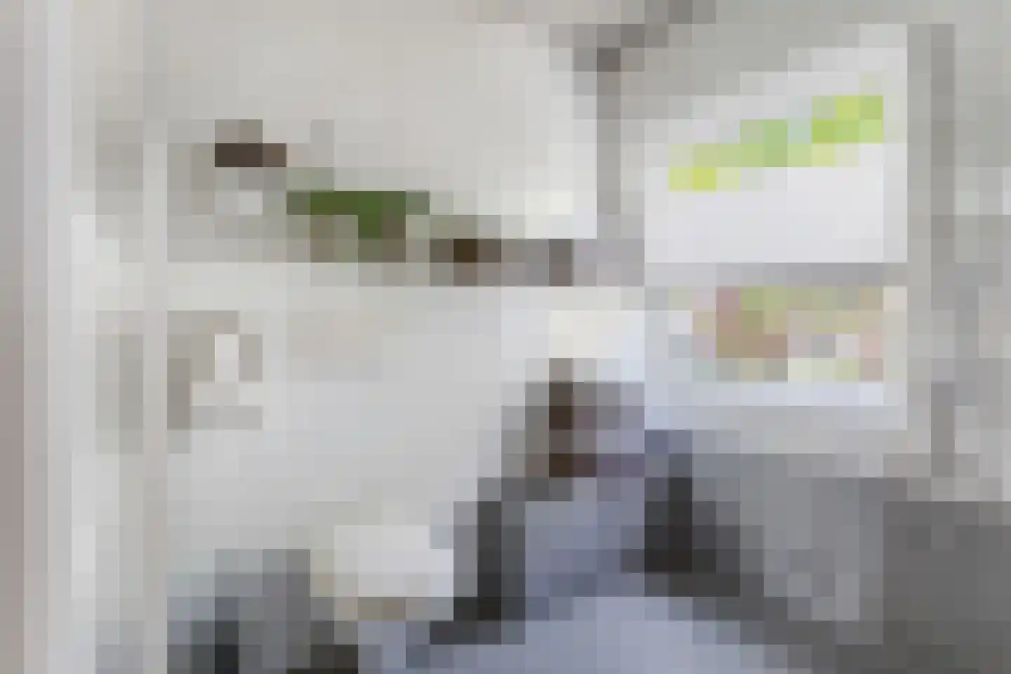 Groene Woud 6 Oudenbosch thumbnail 32