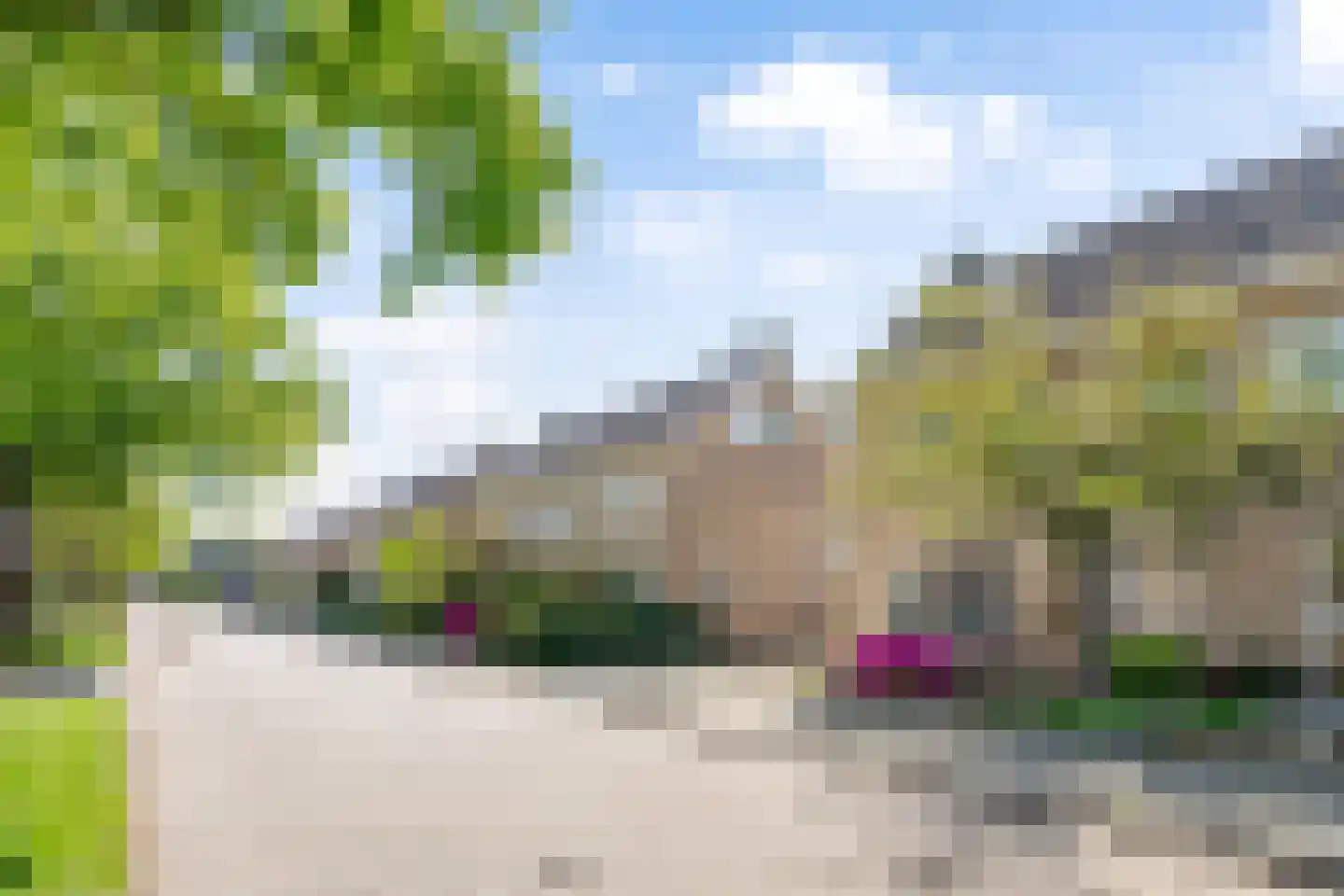 Groene Woud 6 Oudenbosch thumbnail 4