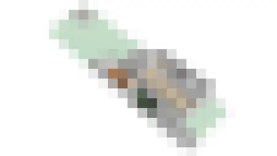 Groene Woud 6 Oudenbosch thumbnail 43