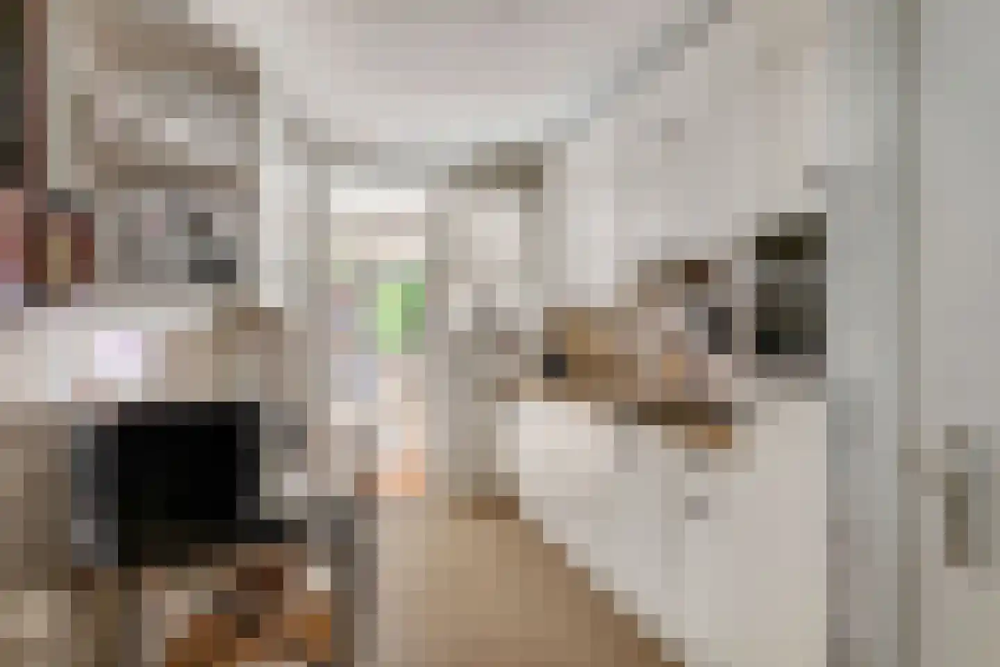 Groene Woud 6 Oudenbosch thumbnail 7
