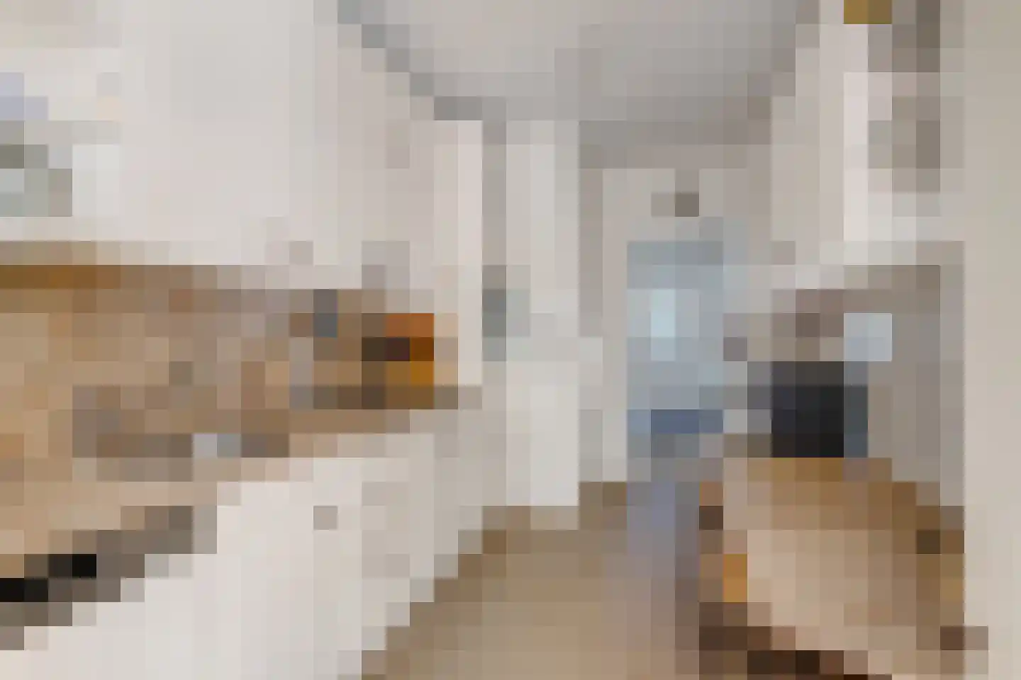 Groene Woud 6 Oudenbosch thumbnail 8