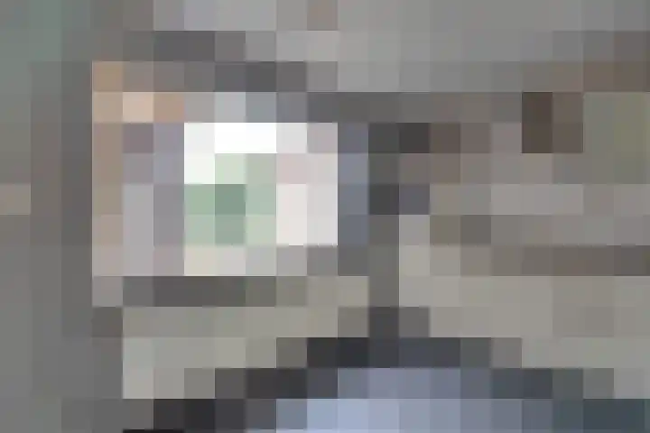 Groene Woud 73 Oudenbosch thumbnail 12