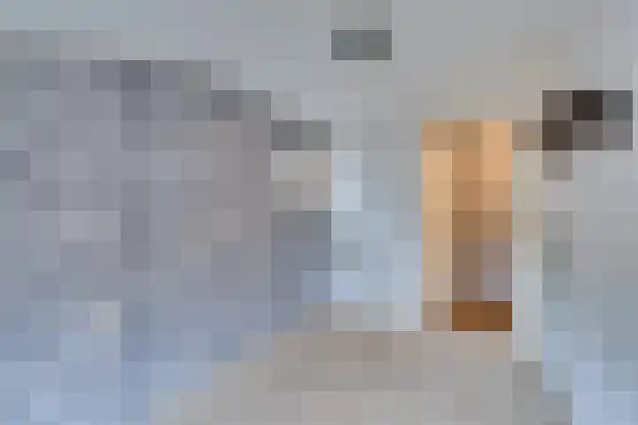 Groene Woud 73 Oudenbosch thumbnail 33