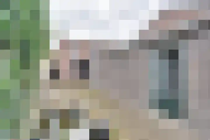 Groene Woud 73 Oudenbosch thumbnail 45