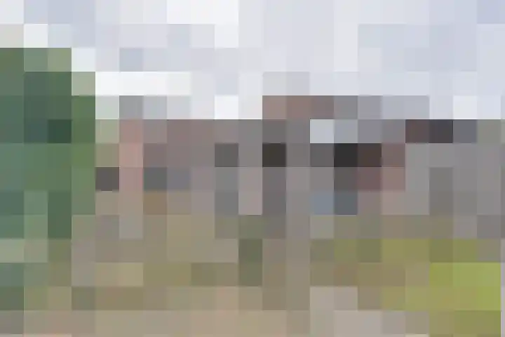 Groene Woud 73 Oudenbosch thumbnail 46