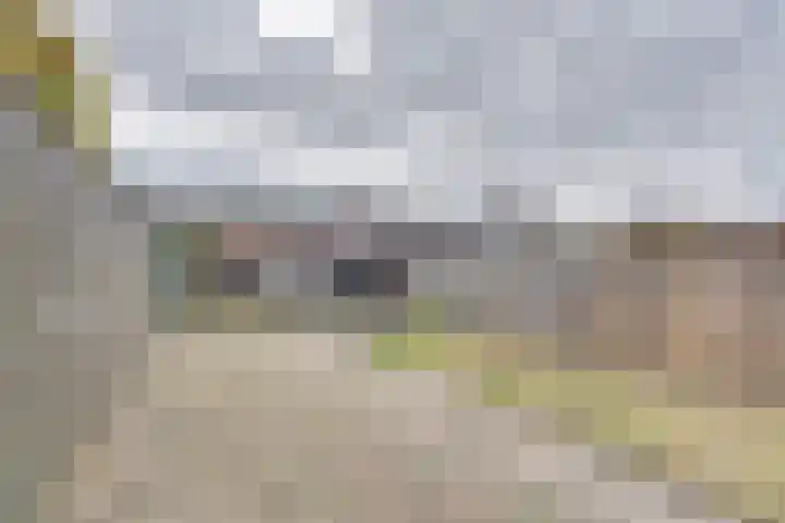 Groene Woud 73 Oudenbosch thumbnail 47