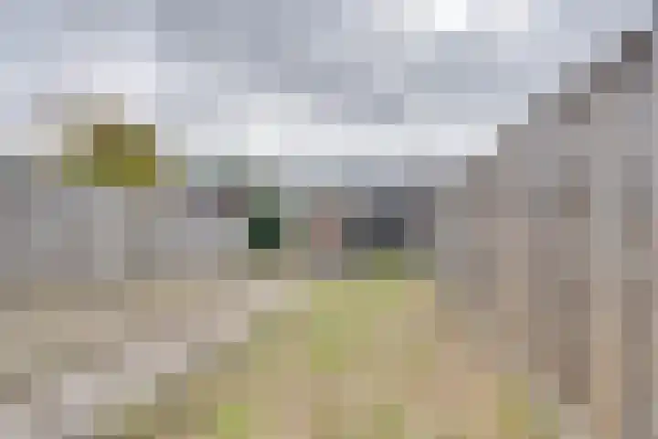 Groene Woud 73 Oudenbosch thumbnail 48
