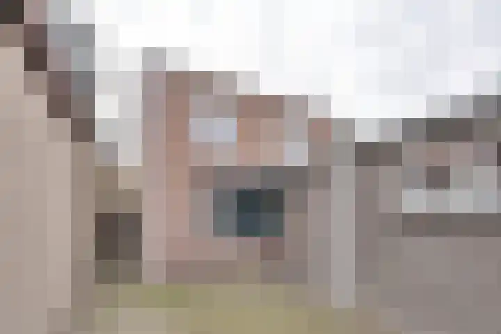 Groene Woud 73 Oudenbosch thumbnail 56