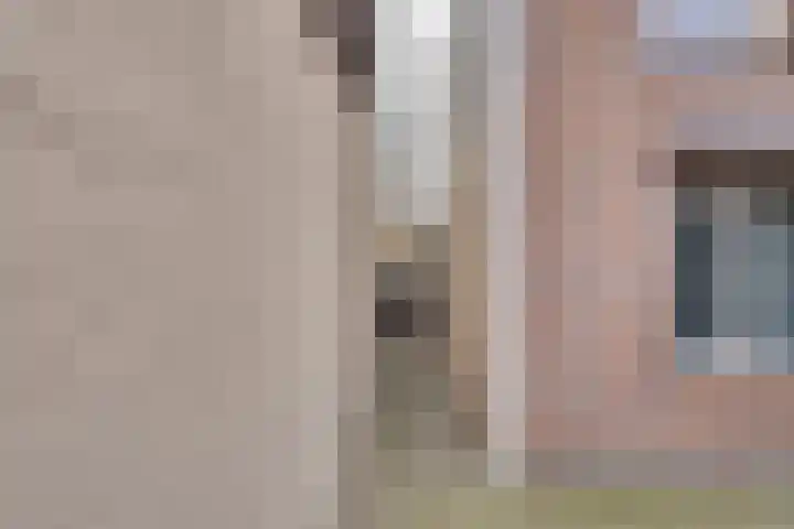 Groene Woud 73 Oudenbosch thumbnail 57