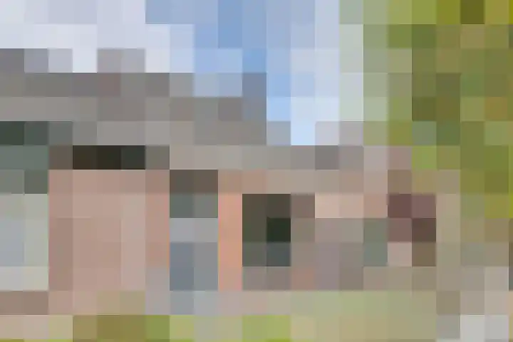 Groene Woud 73 Oudenbosch thumbnail 58