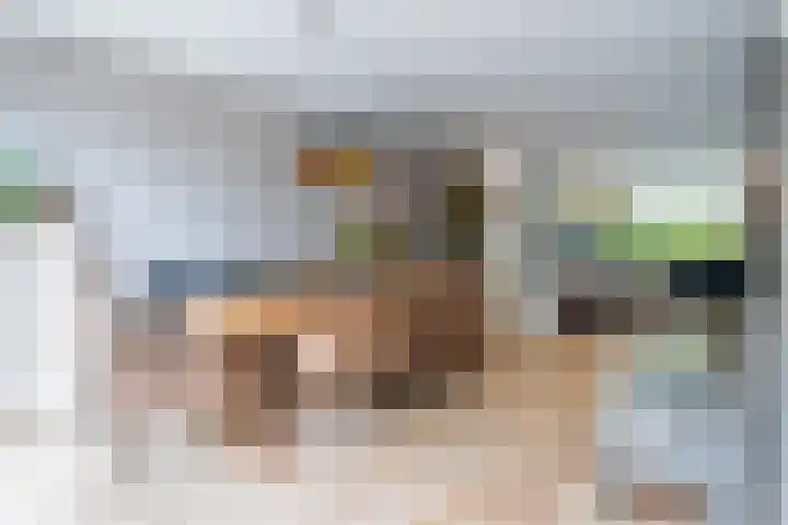 Groene Woud 76 Breda thumbnail 12