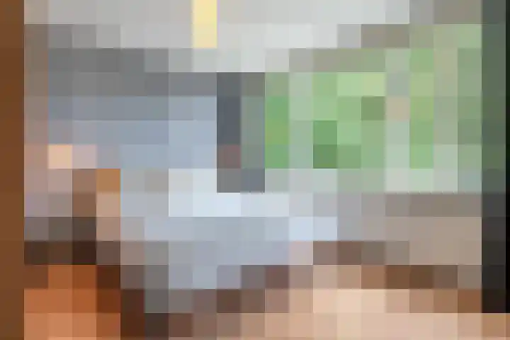 Groene Woud 76 Breda thumbnail 17