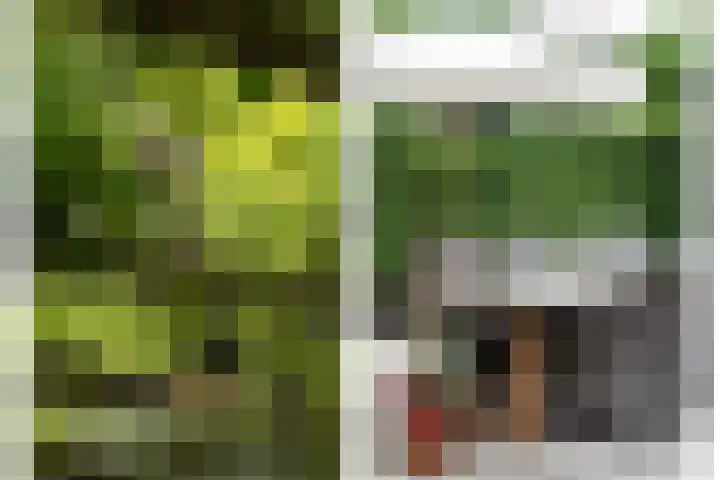 Groene Woud 76 Breda thumbnail 27