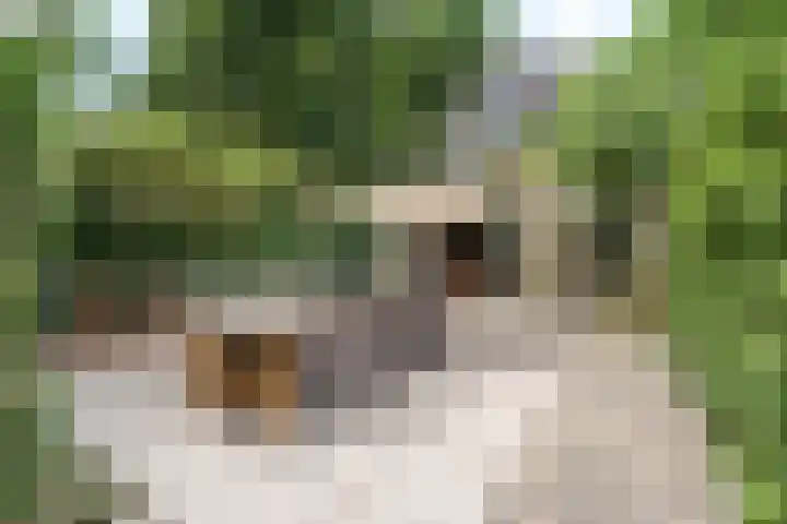 Groene Woud 76 Breda thumbnail 29