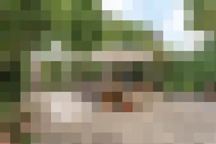Groene Woud 76 Breda foto 3