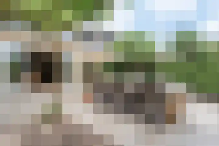 Groene Woud 76 Breda thumbnail 30