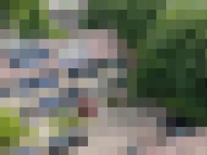 Groene Woud 76 Breda thumbnail 31
