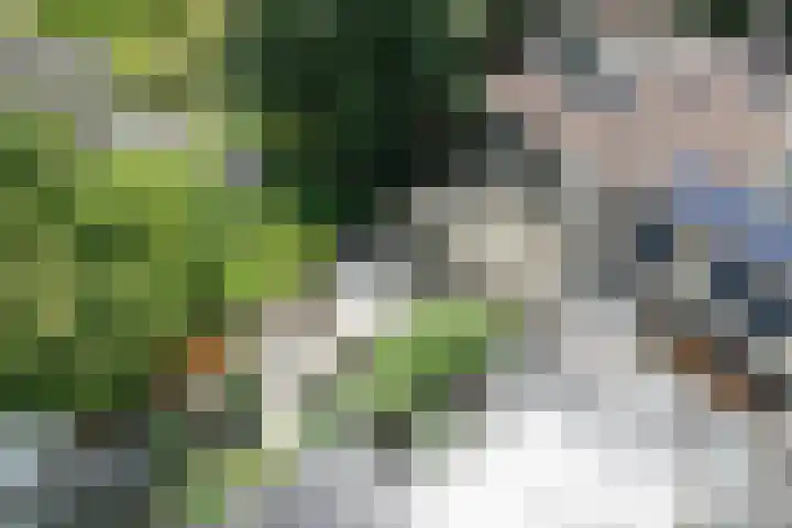 Groene Woud 76 Breda thumbnail 33