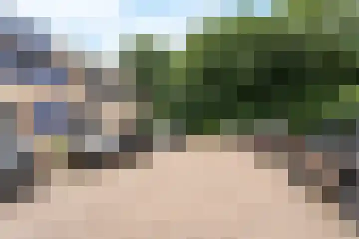 Groene Woud 76 Breda thumbnail 35