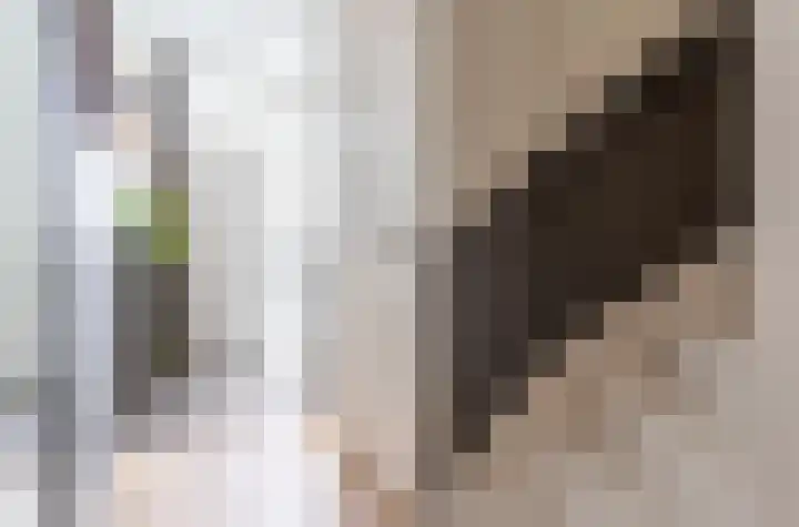 Groene Woud 76 Breda thumbnail 8