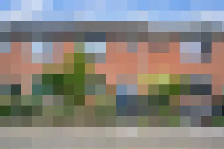 Groene Zoom 11 Strijen