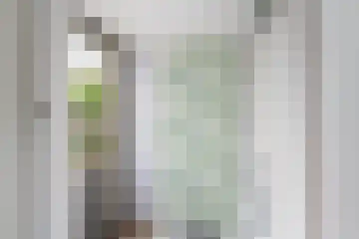 Groene Zoom 11 Strijen thumbnail 19