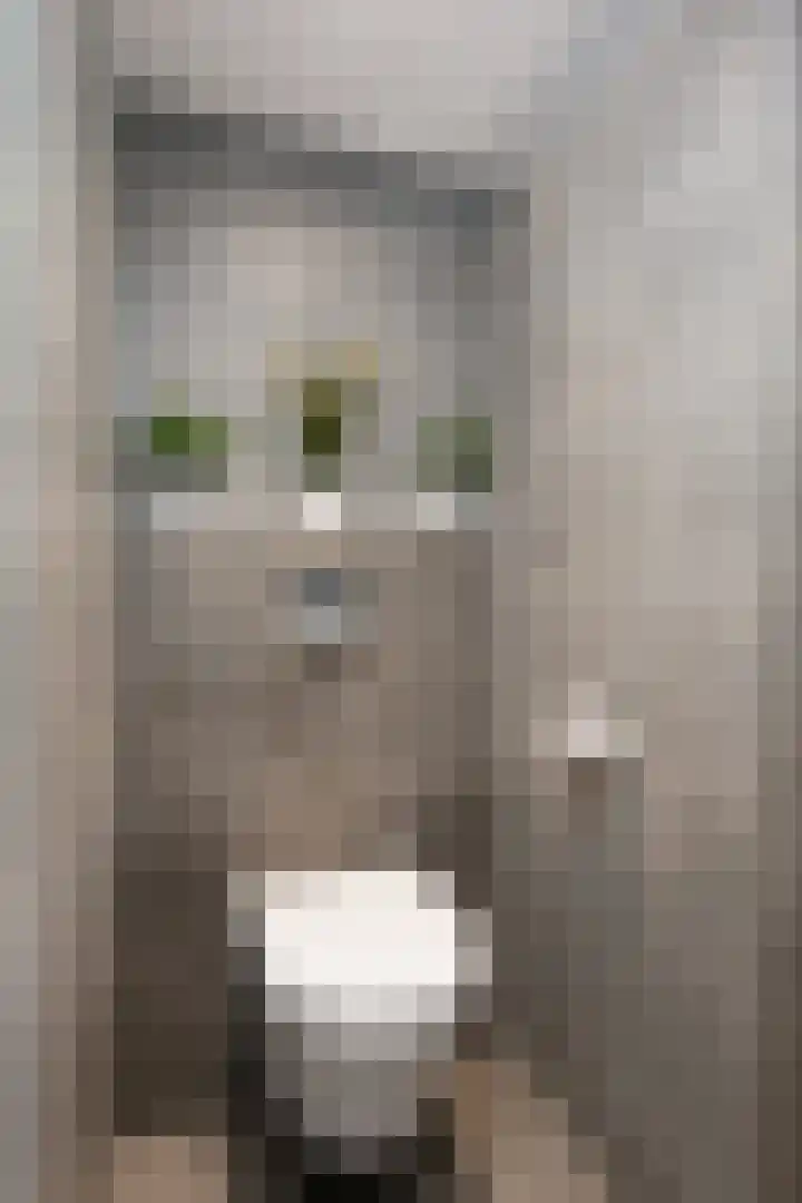 Groene Zoom 11 Strijen thumbnail 27