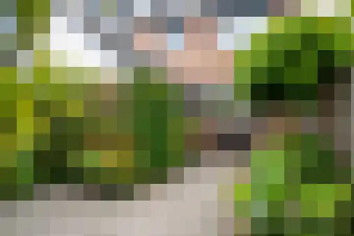 Groene Zoom 11 Strijen thumbnail 29