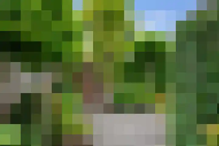 Groene Zoom 11 Strijen thumbnail 34