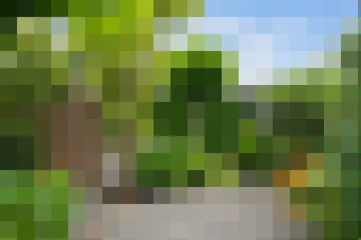 Groene Zoom 11 Strijen thumbnail 35
