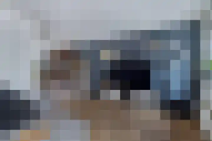 Groene Zoom 12 Marknesse thumbnail 10