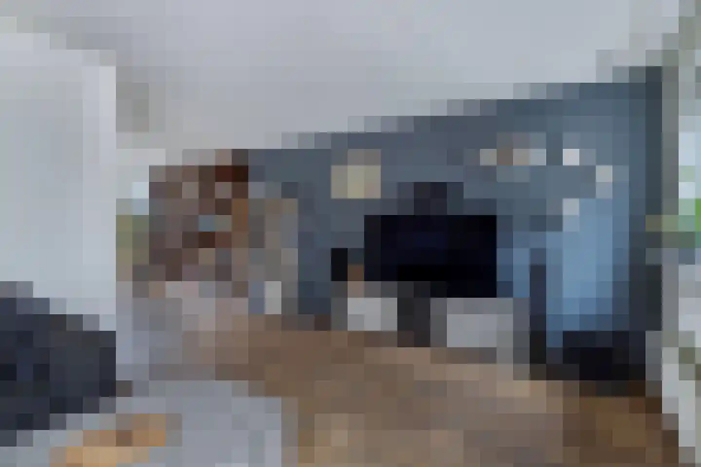 Groene Zoom 12 Marknesse thumbnail 11