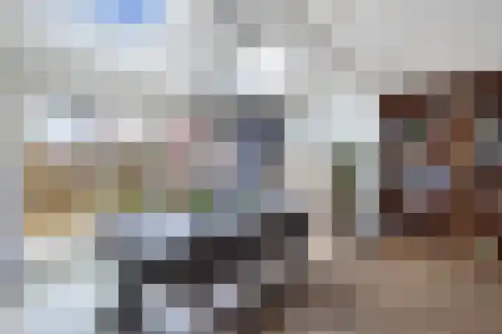 Groene Zoom 12 Marknesse thumbnail 11