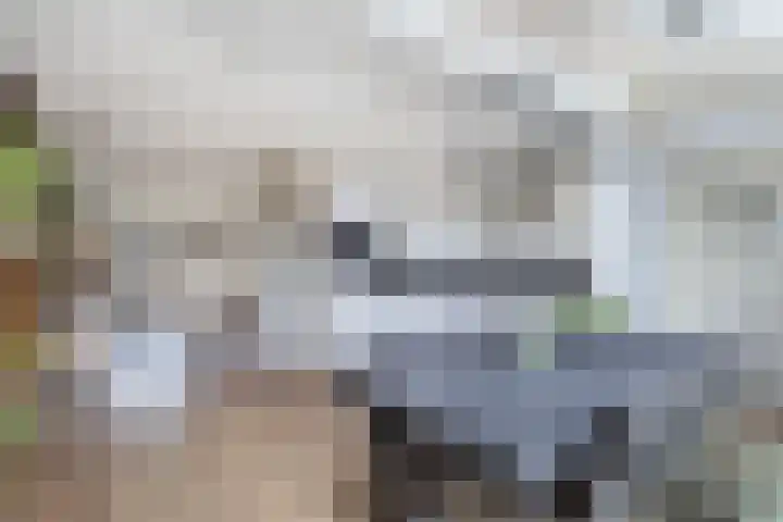 Groene Zoom 12 Marknesse thumbnail 12
