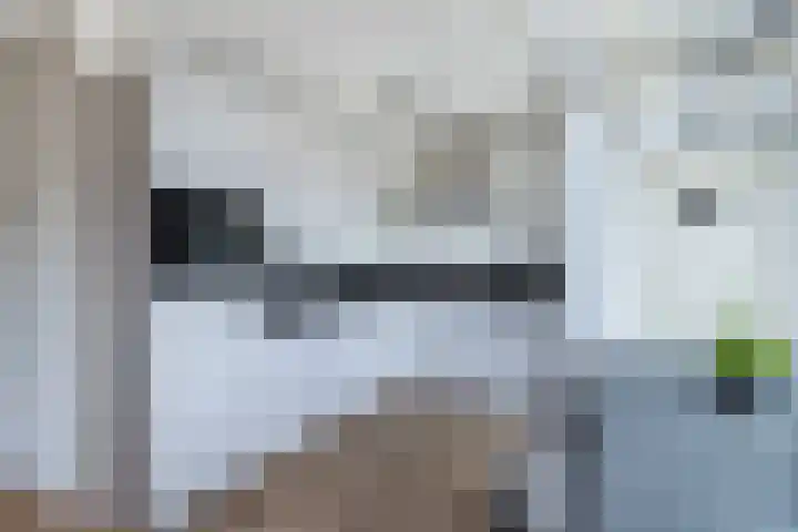 Groene Zoom 12 Marknesse thumbnail 13