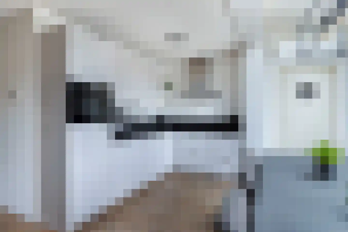 Groene Zoom 12 Marknesse thumbnail 14