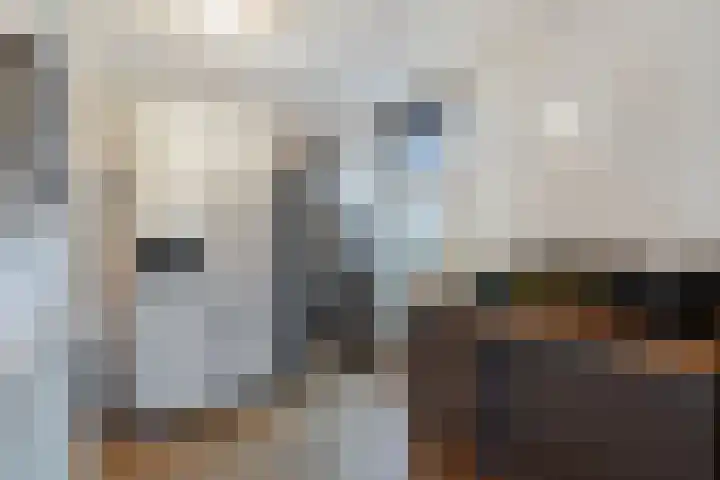 Groene Zoom 12 Marknesse thumbnail 15