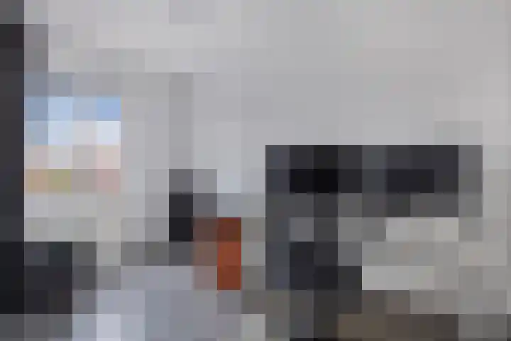 Groene Zoom 12 Marknesse thumbnail 19