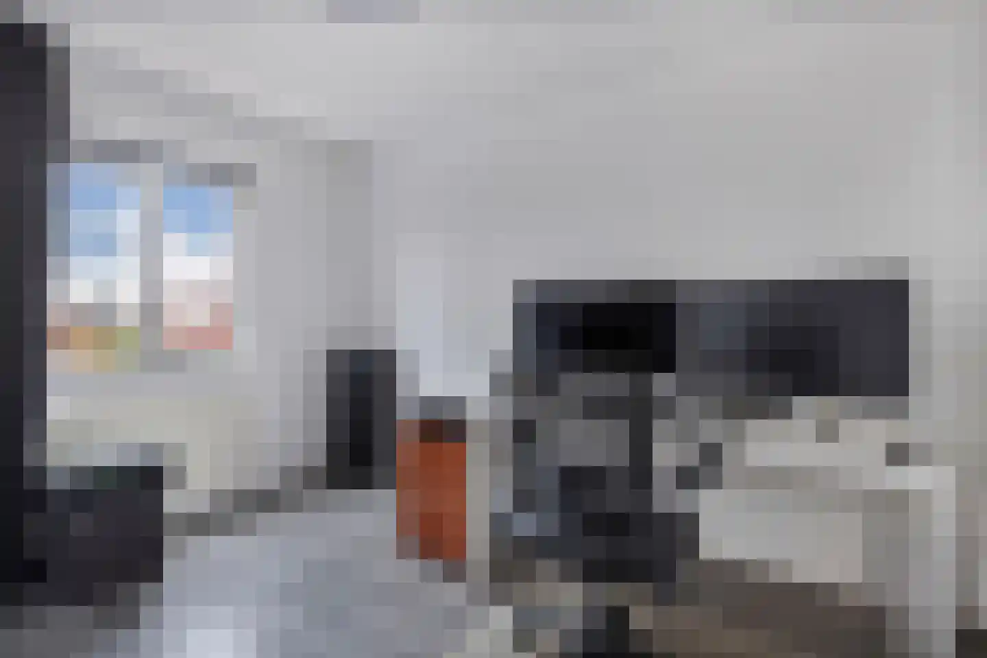 Groene Zoom 12 Marknesse thumbnail 20