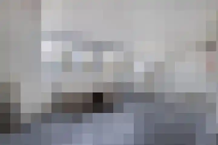 Groene Zoom 12 Marknesse thumbnail 22