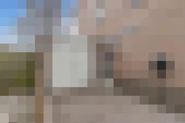 Groene Zoom 12 Marknesse thumbnail 24