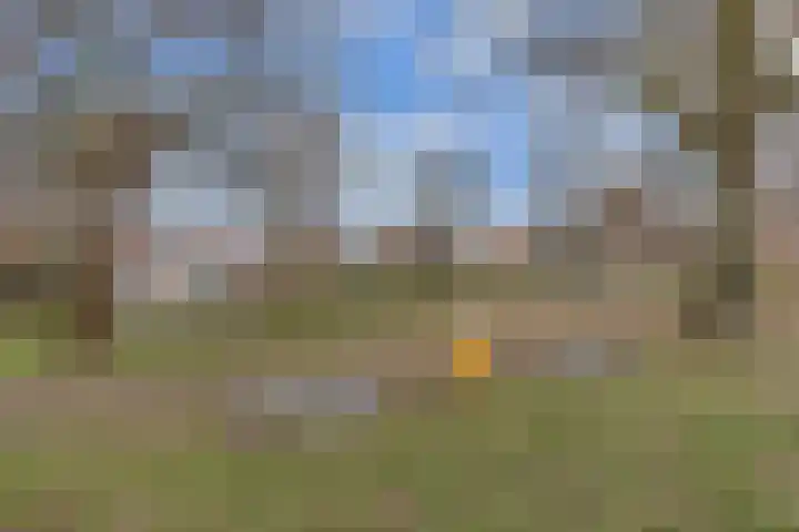 Groene Zoom 12 Marknesse thumbnail 26