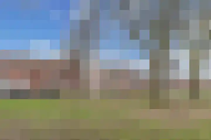 Groene Zoom 12 Marknesse thumbnail 27