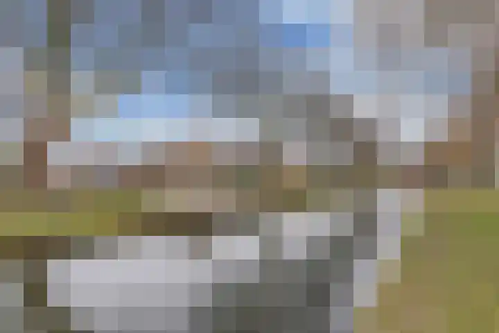 Groene Zoom 12 Marknesse thumbnail 28