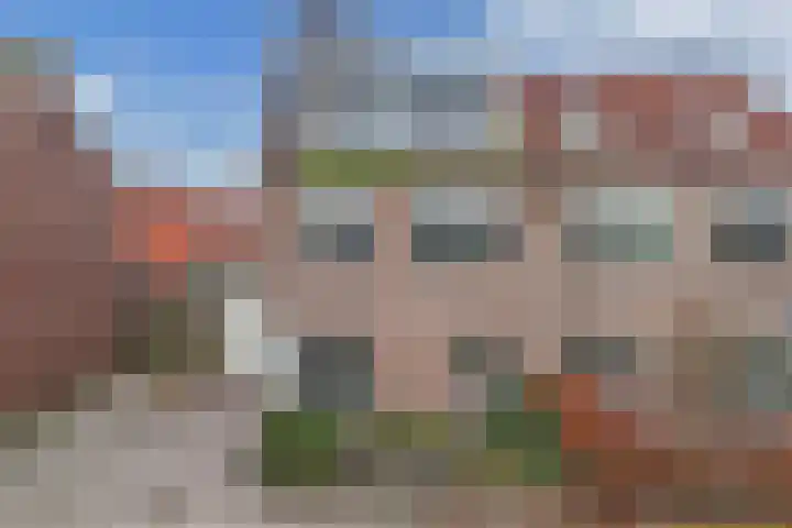 Groene Zoom 12 Marknesse thumbnail 29