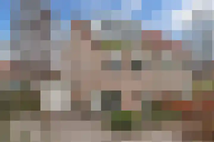 Groene Zoom 12 Marknesse thumbnail 30
