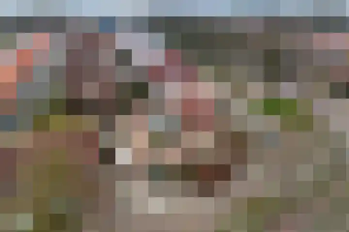 Groene Zoom 12 Marknesse thumbnail 31