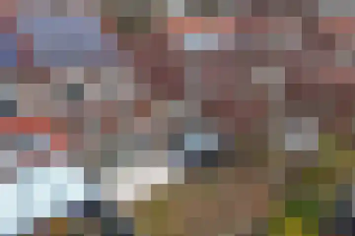 Groene Zoom 12 Marknesse thumbnail 32