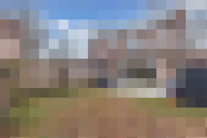 Groene Zoom 12 Marknesse thumbnail 33